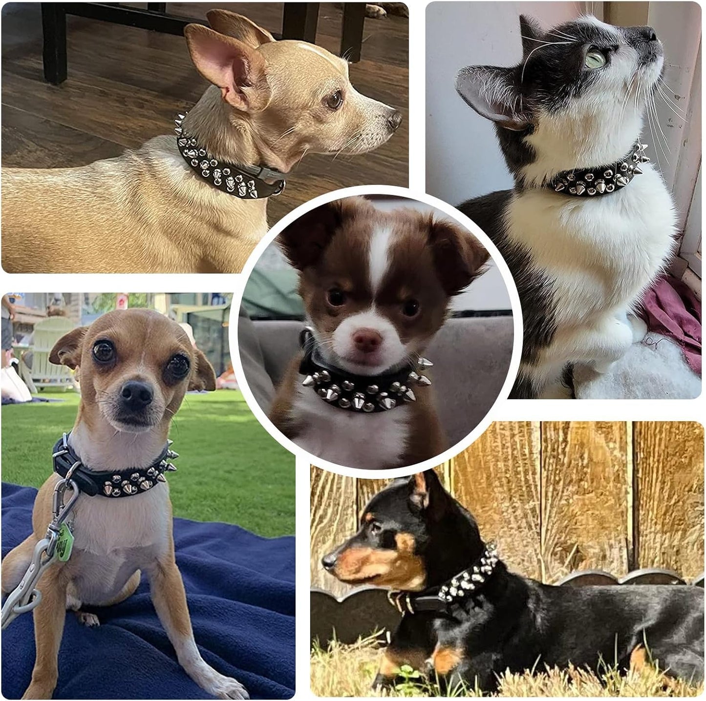 Small Spiked Black Dog Cat Collar for Small Medium Dogs Boy Male - Adjustable Studded Puppy Collars - Soft Padded Punk Leather Dog Collar for Chihuahua French Bulldog Pug (Black,Xs)