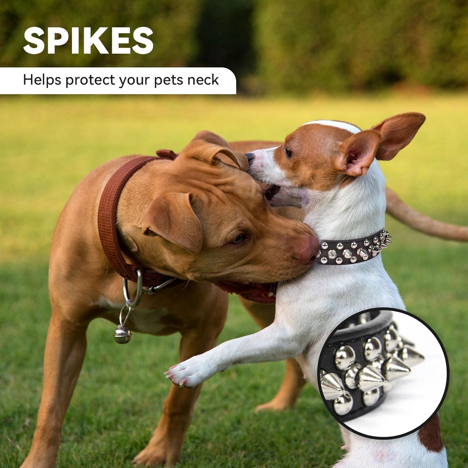 Small Spiked Black Dog Cat Collar for Small Medium Dogs Boy Male - Adjustable Studded Puppy Collars - Soft Padded Punk Leather Dog Collar for Chihuahua French Bulldog Pug (Black,Xs)